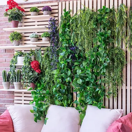 Rincon Playa * ベニドルム